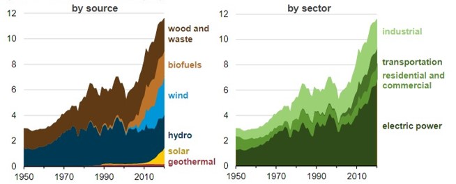 Renewable Energy Consumption